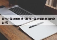 软件开发培训黑马（软件开发培训班出来的怎么样）