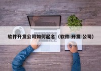 软件开发公司如何起名（软件 开发 公司）