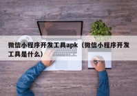 微信小程序开发工具apk（微信小程序开发工具是什么）