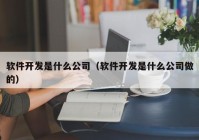 软件开发是什么公司（软件开发是什么公司做的）