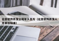 北京软件开发公司年入百万（北京软件开发人月单价标准）